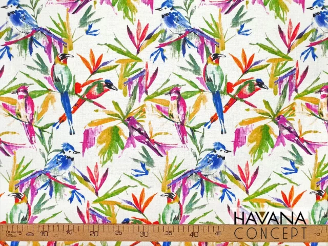 Watercolor Birds of Paradise Fabric
